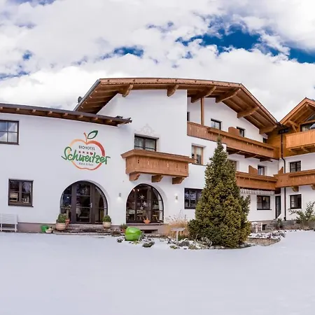 Biohotel Schweitzer 3*
