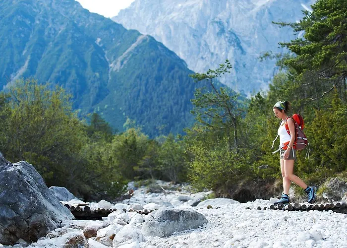 Biohotel Schweitzer Hotel 3*